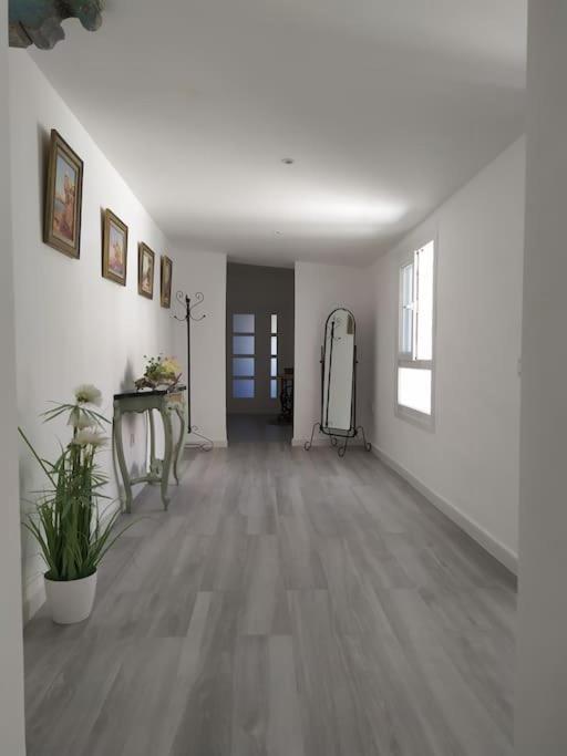 Espectacular Piso En La Misma Plaza Del Mentidero. Appartement Cádiz Buitenkant foto